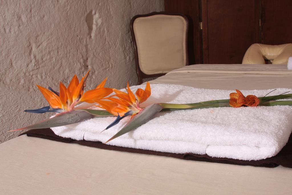 Hotel Villa Del Villar Querétaro Eksteriør billede